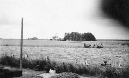 OB-00062 | Oosterbierum: boerderij Jukema