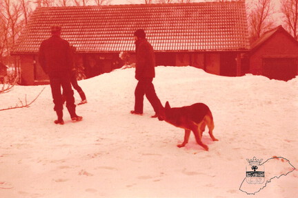 OB-00149 Sneeuw februari 1979 - Oosterbierum